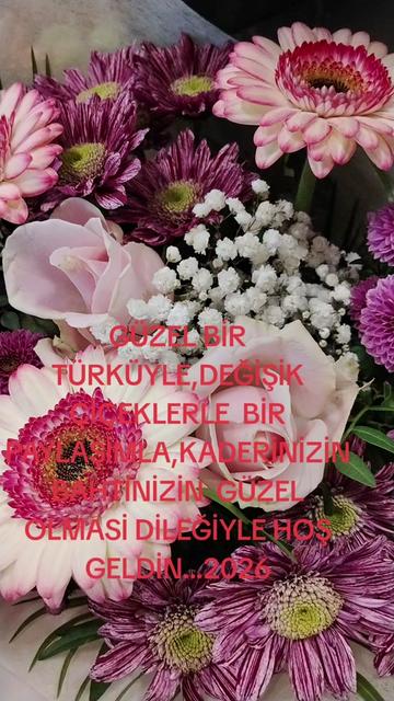 @BORDO BERELI ASLAN KRAL1