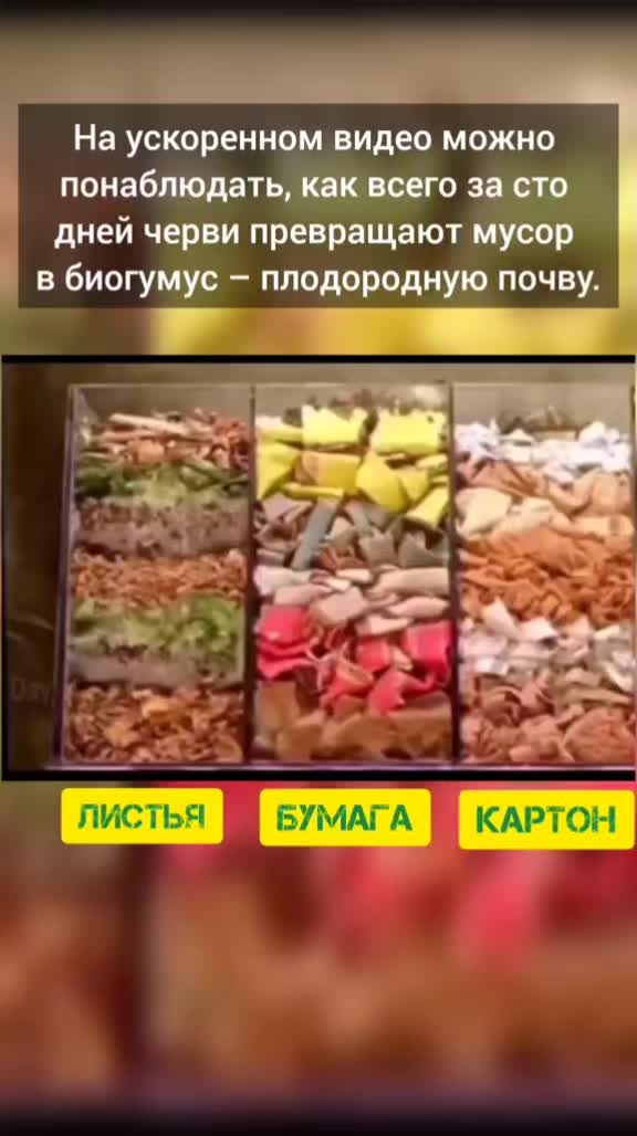 @Vasyliy