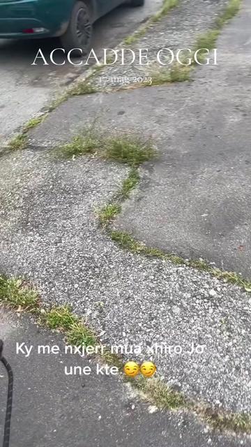 @tik tok