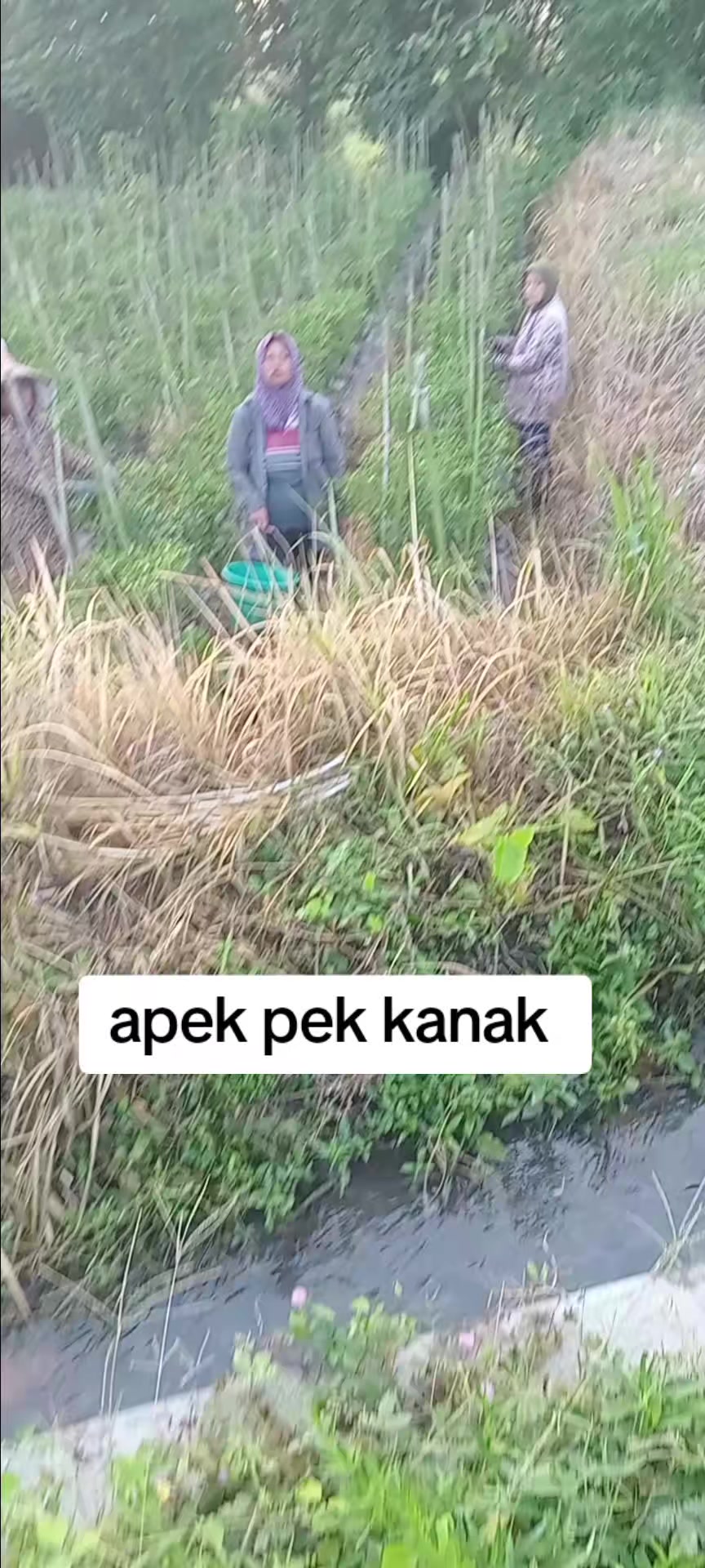 @KAMPONG TOSO