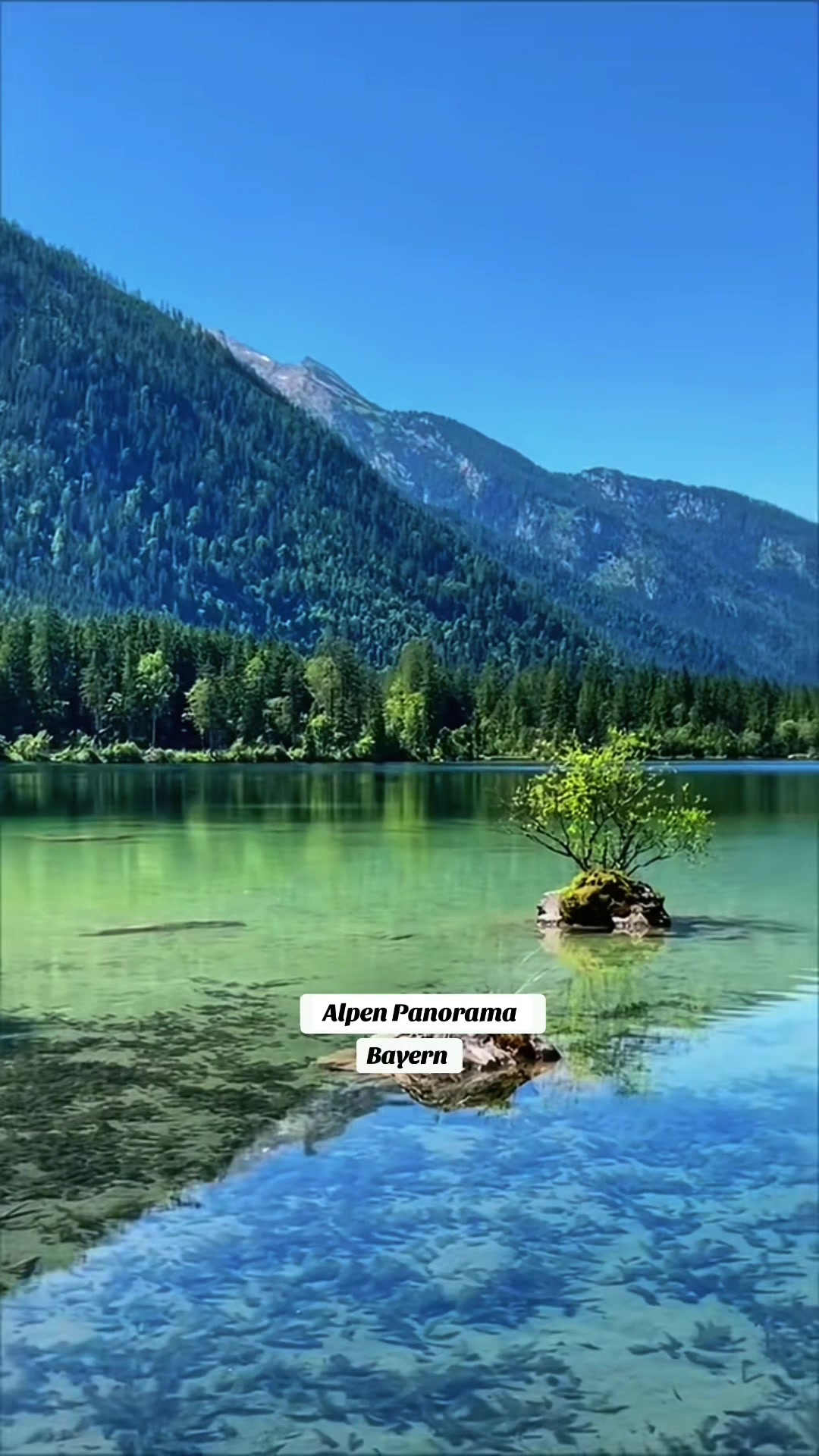 @Natur und Alpen Paradies 🏞️
