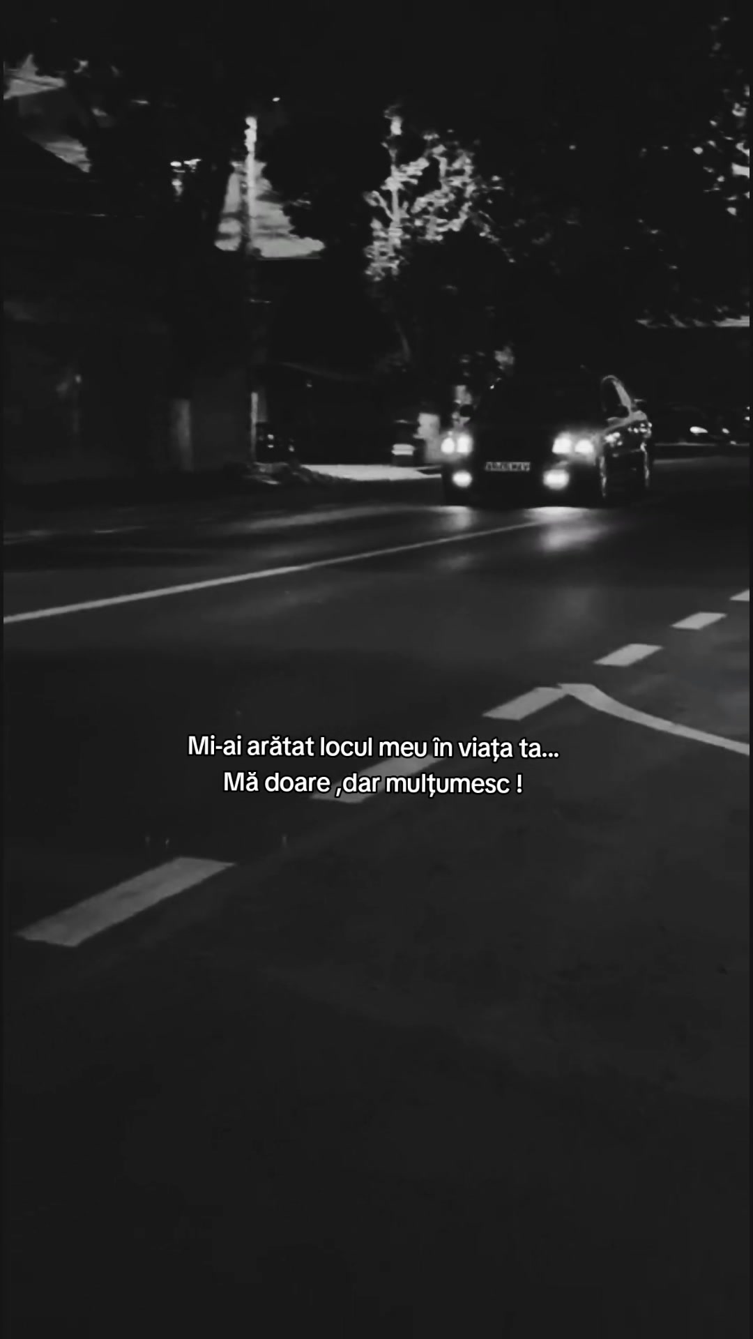 @Alex Mav❤️
