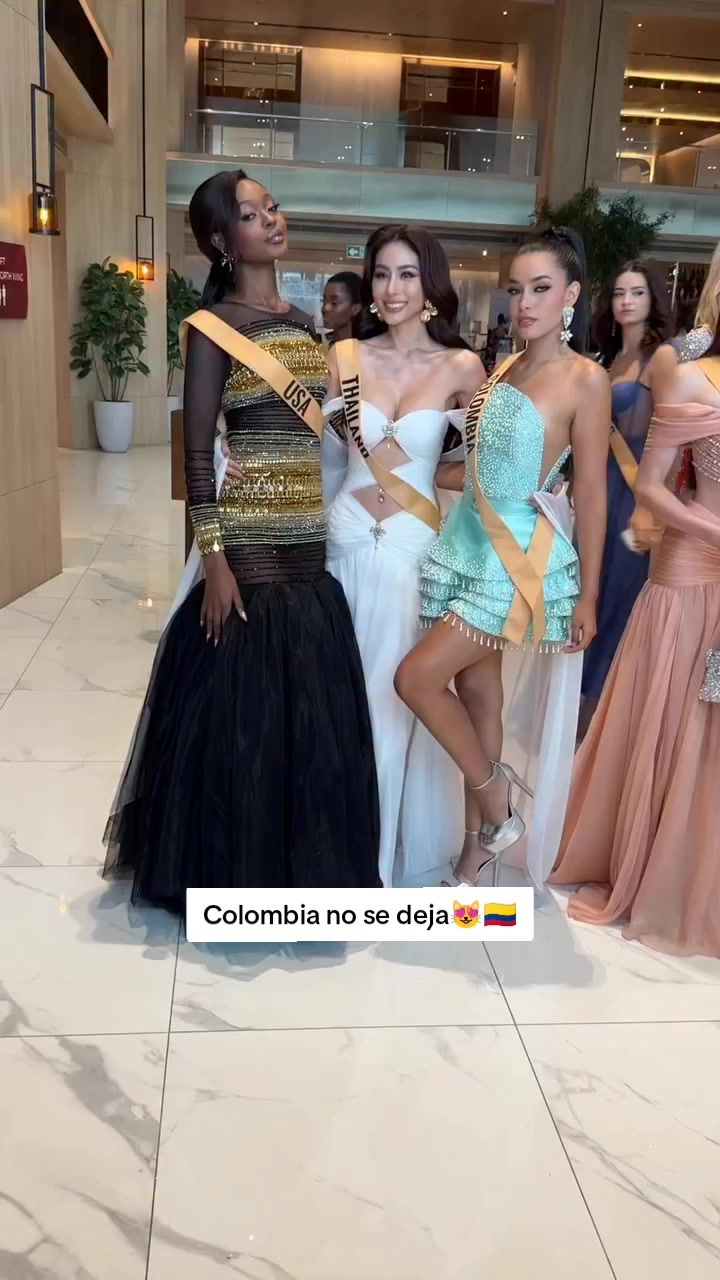 @las_top1