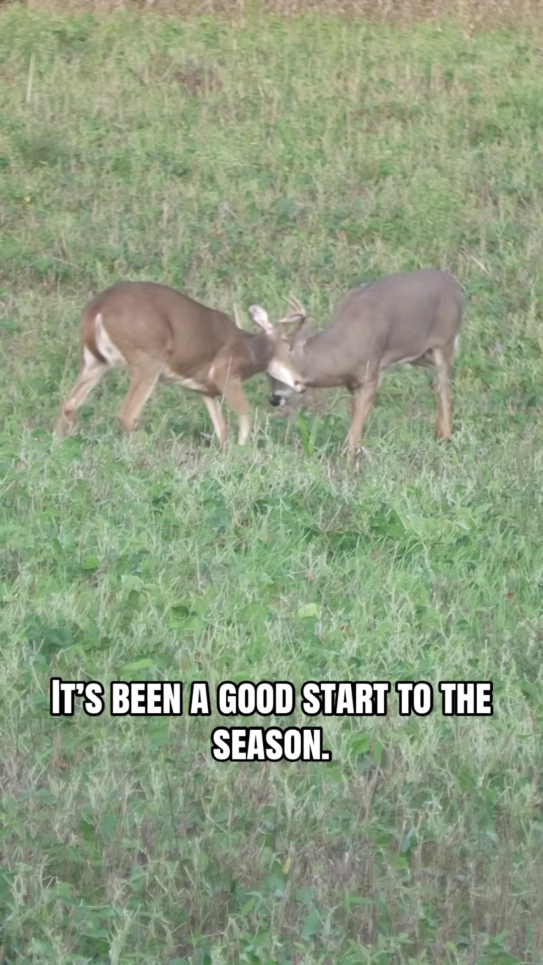 @Growing Wild