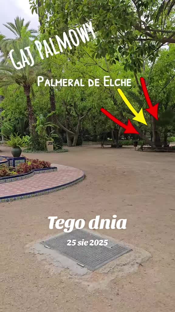 @mariuszmwm