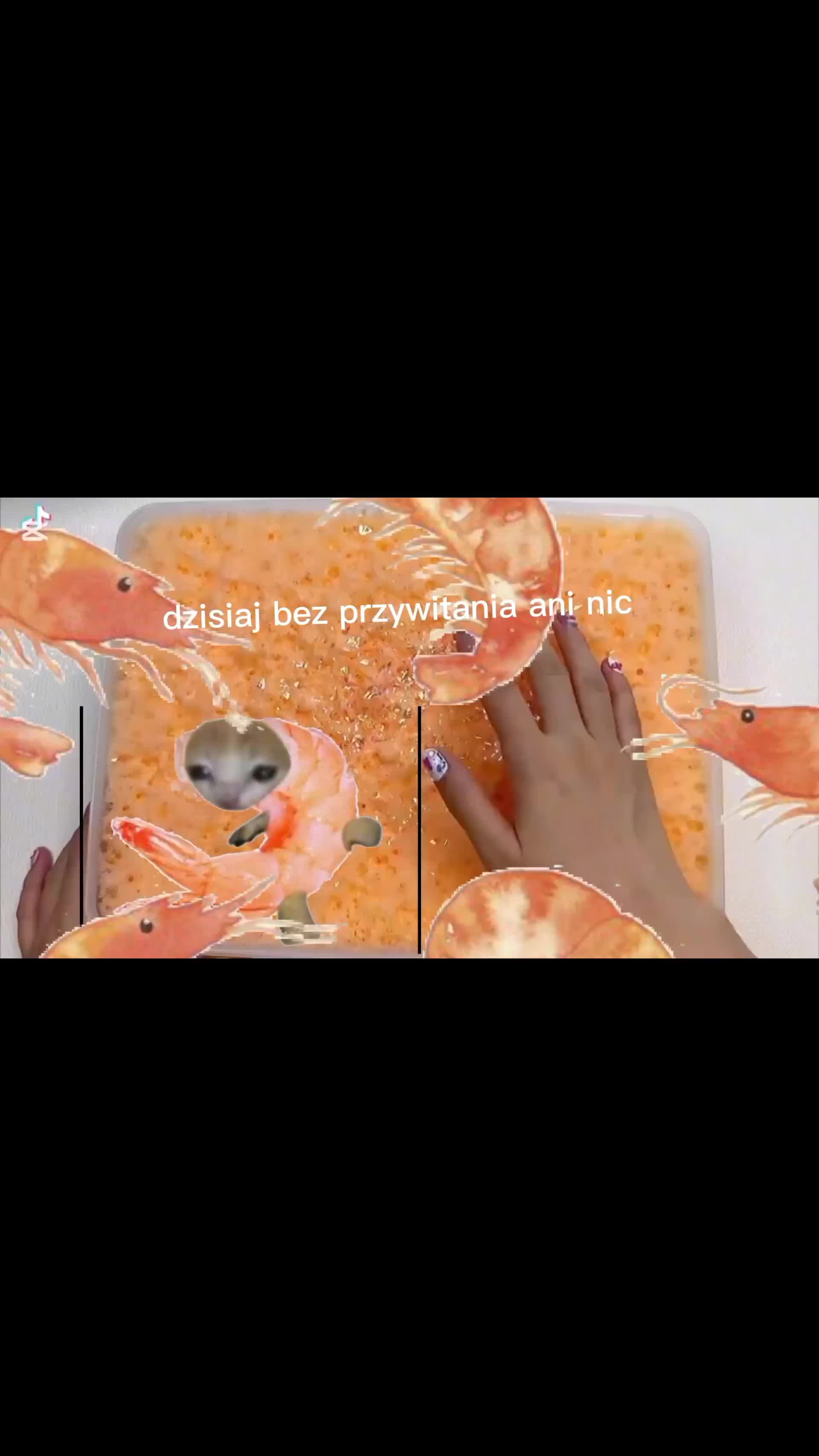 @brat krewetki