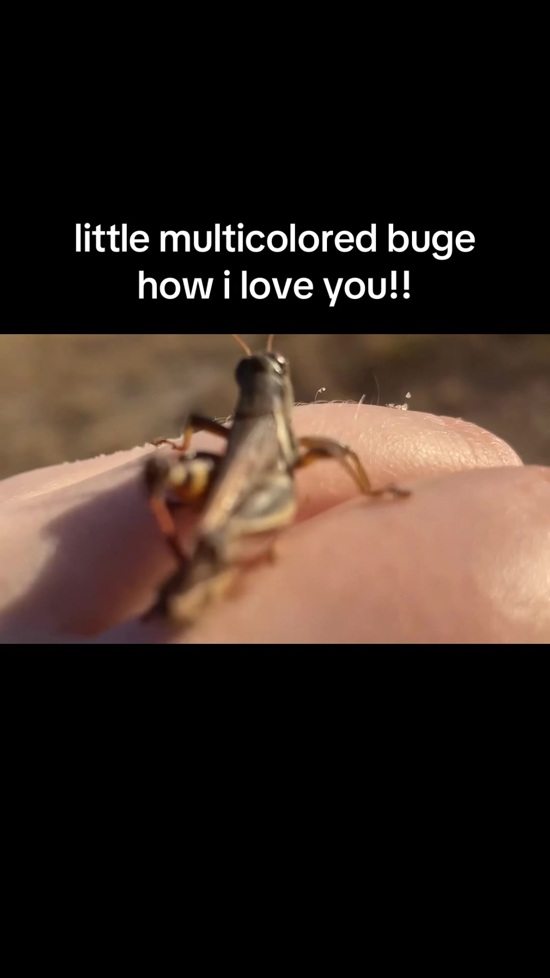 @sbuglug