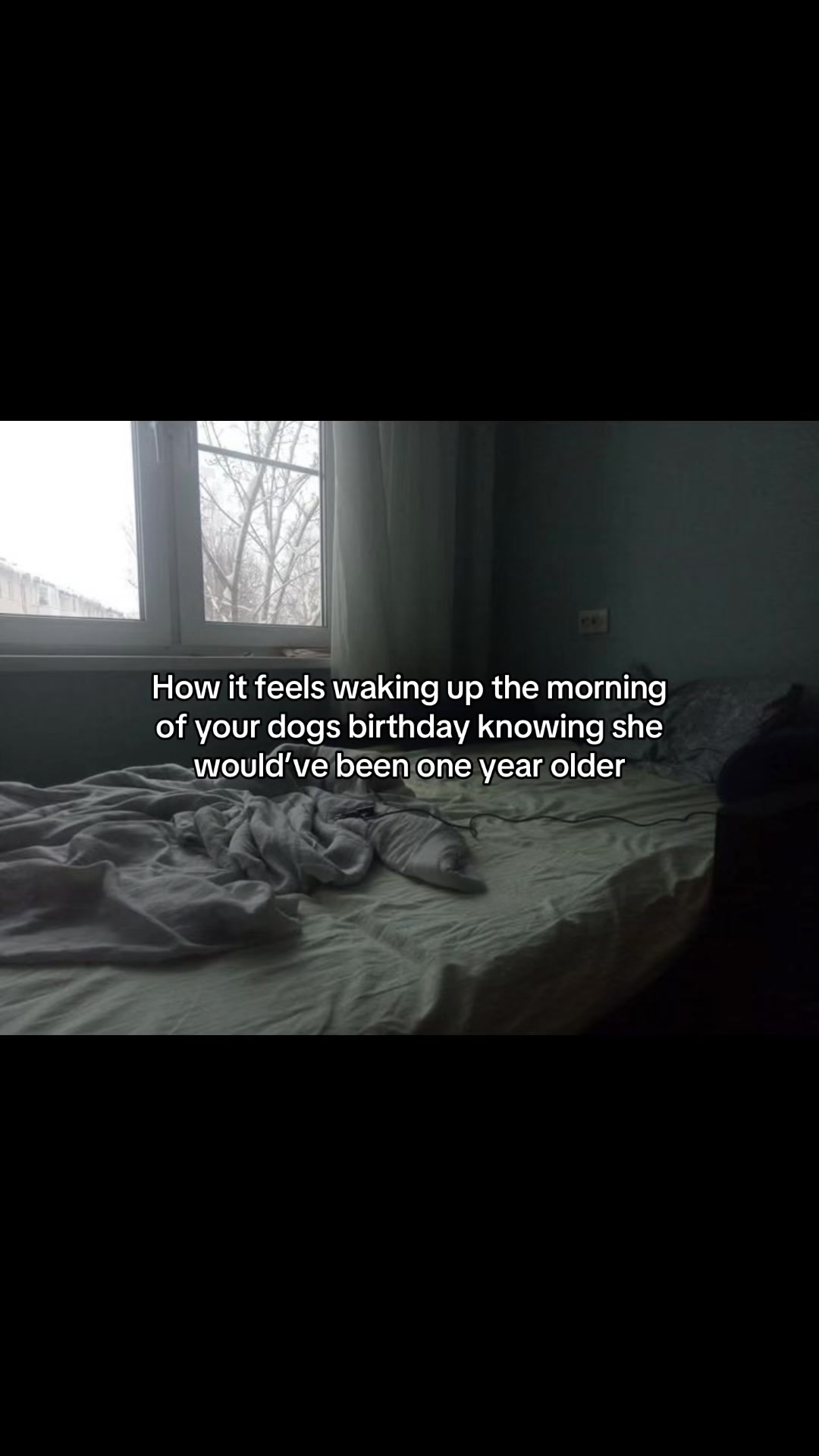@𝕸.