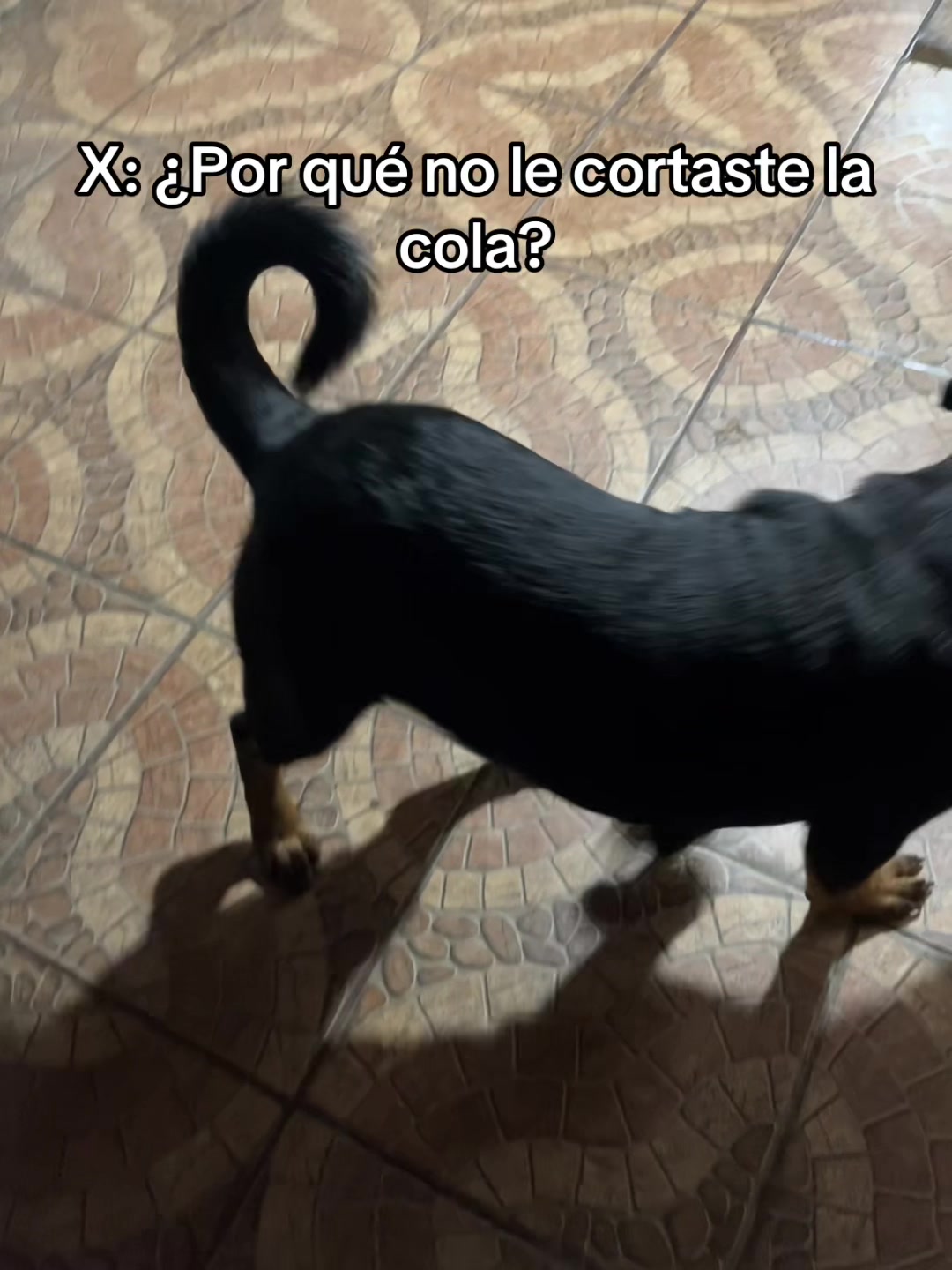 @Valen