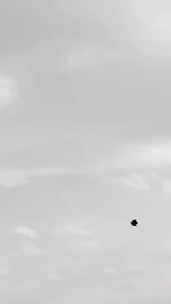 @๐๐๐ฉ๐ ๐๐จ ๐๐ฎ ๐๐๐๐ ๐ช