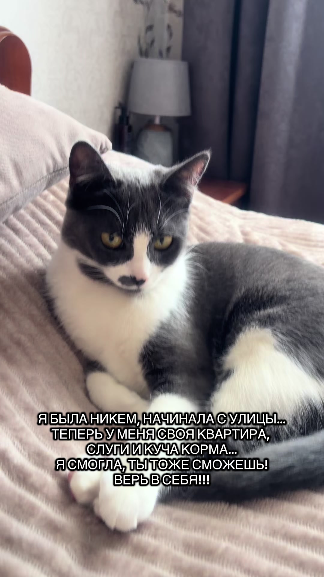@Жанна Листратенко