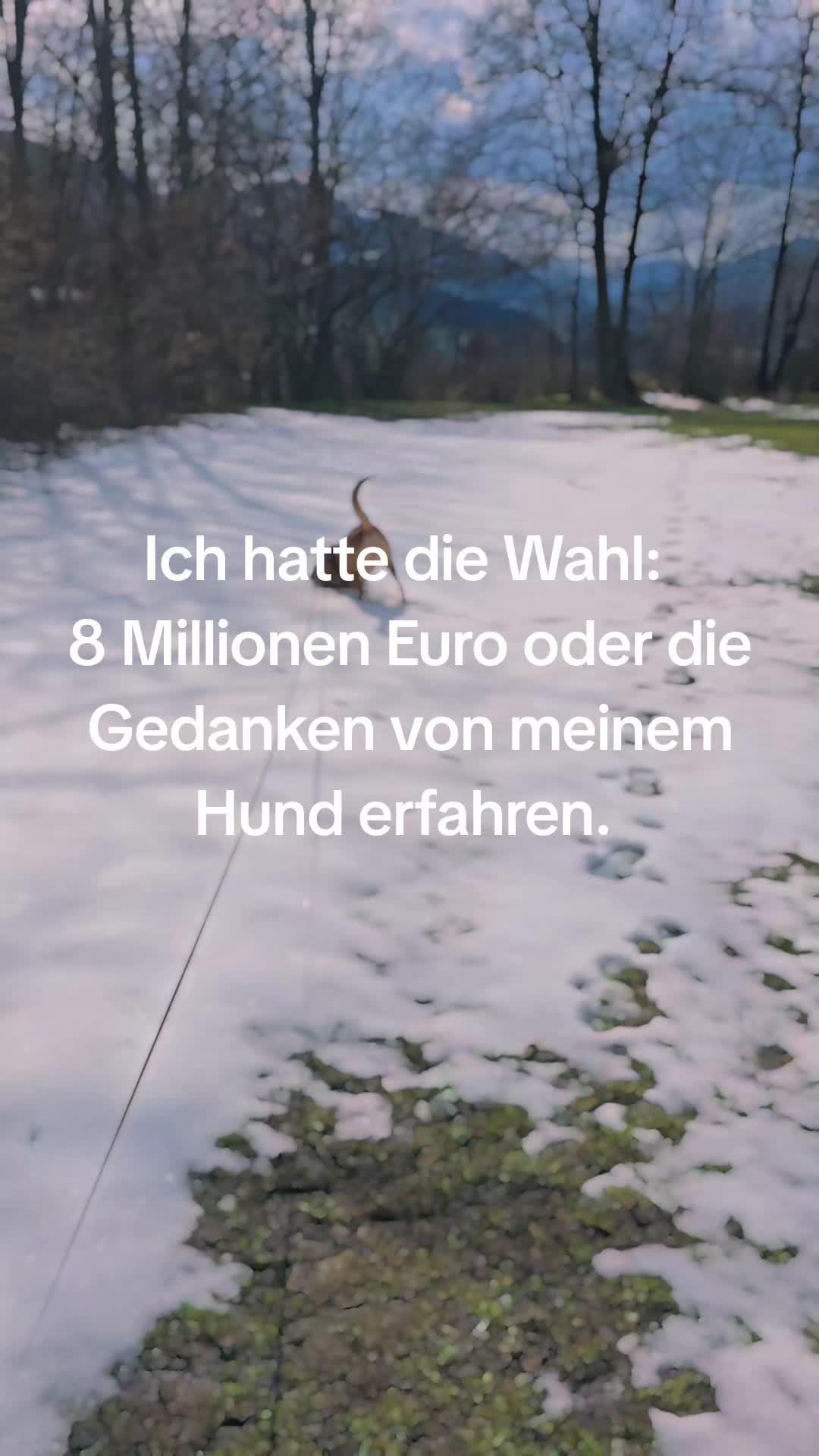 @❤Carlo ❤️