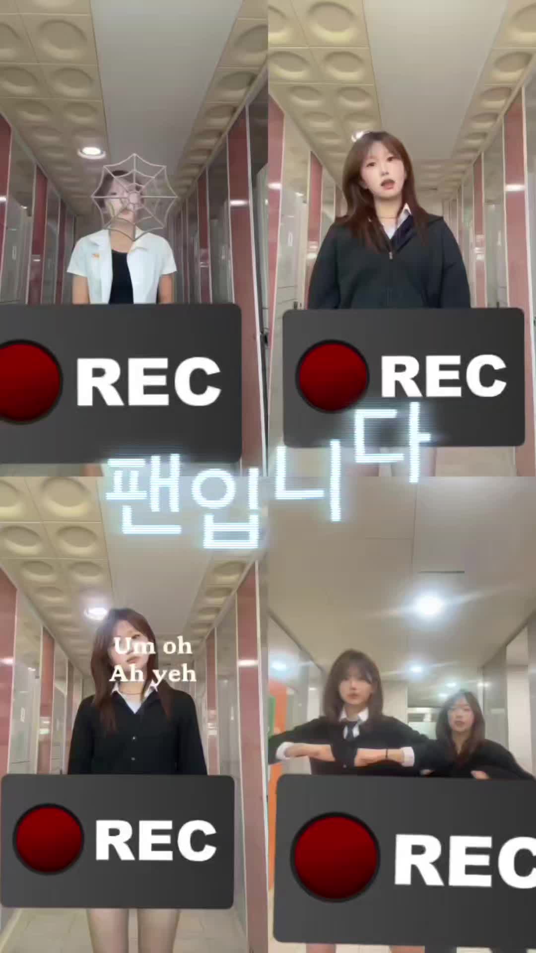 @팬입니다