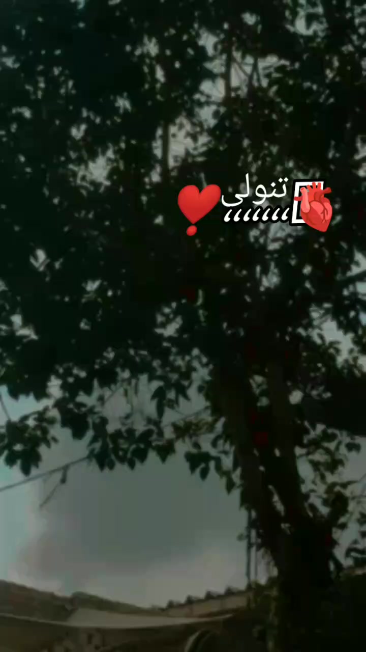 @zadi tanoli🖤😎