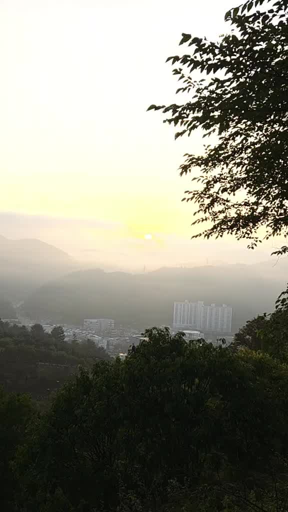 @법무사