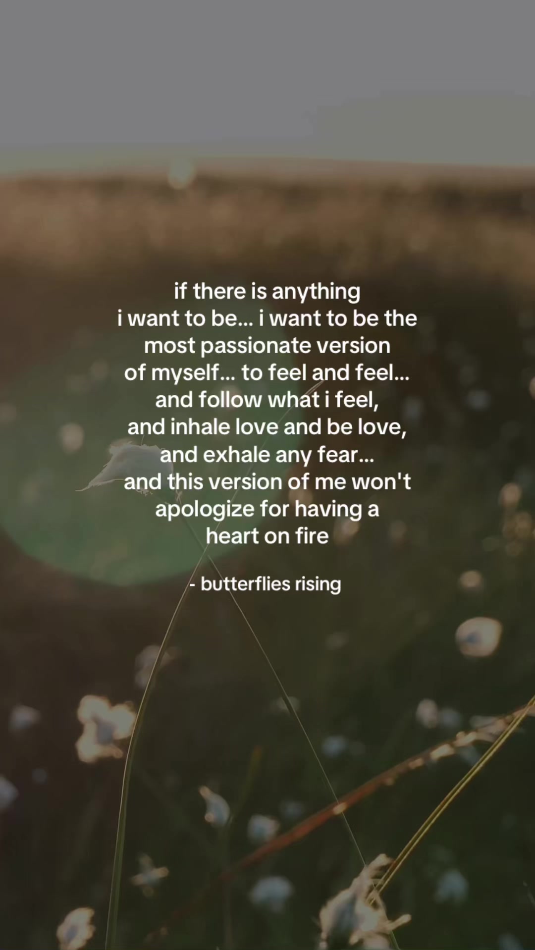 @butterflies rising