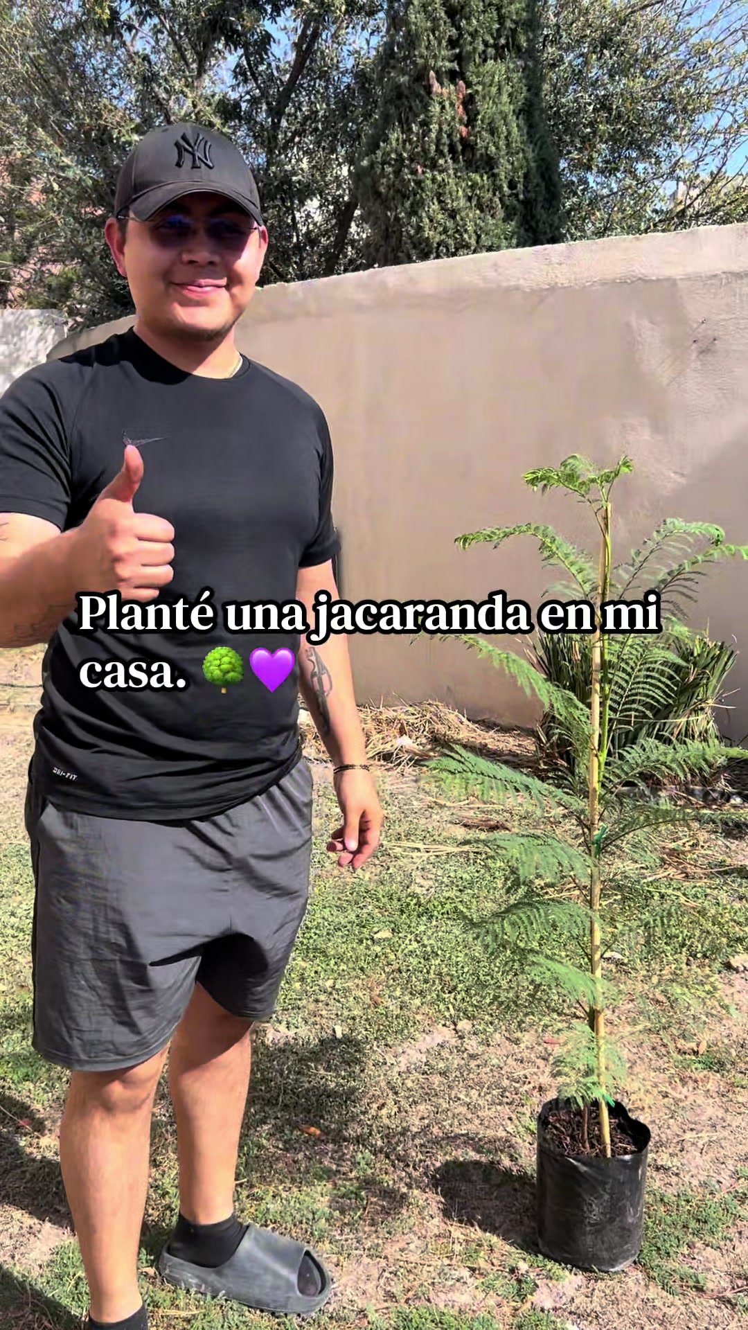 @Emilio GP