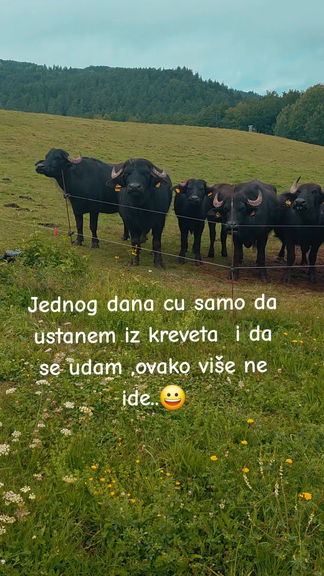 @🥇⭐solo igračica⭐ 🥇 ®️