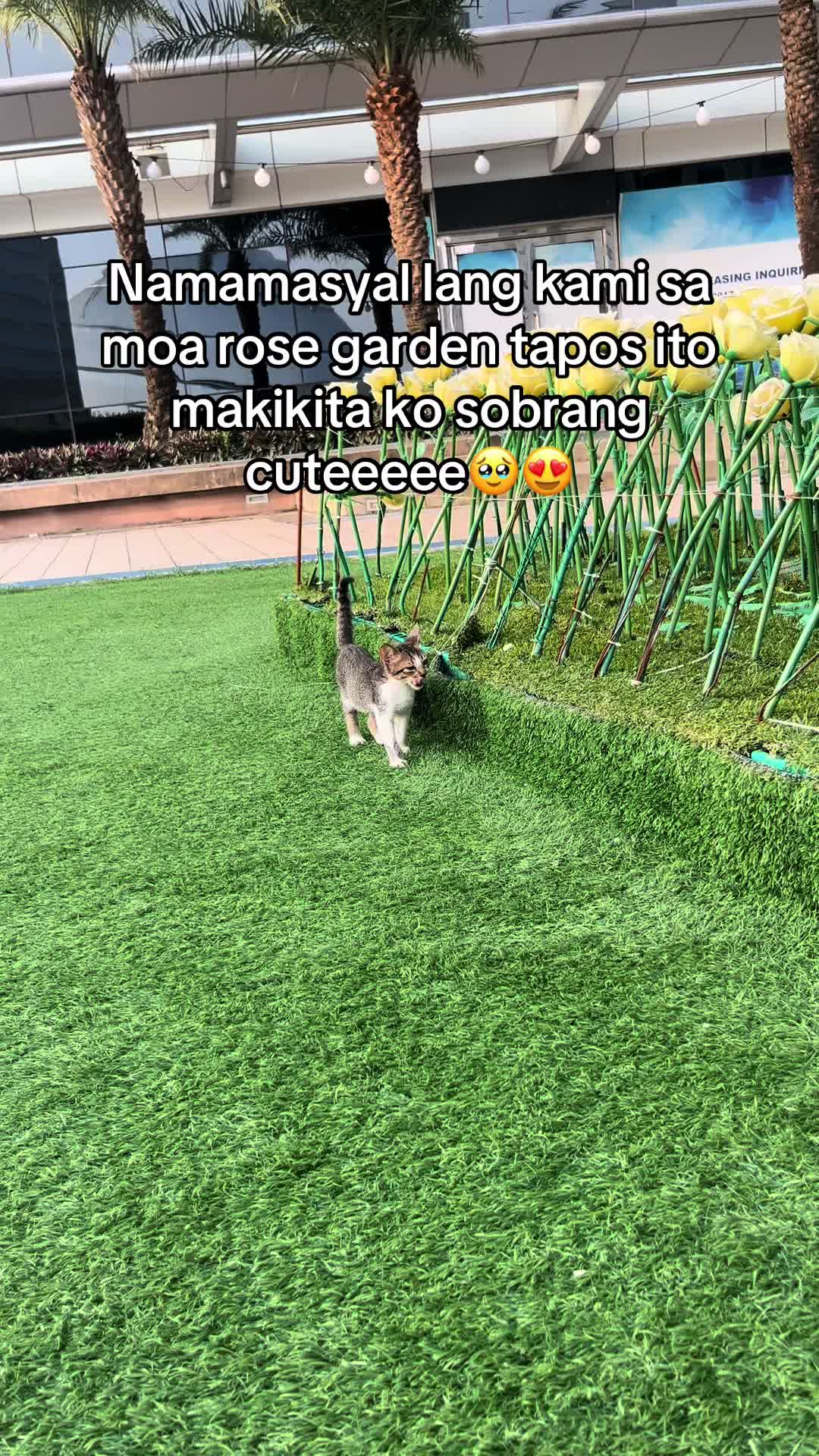 @aloiraellehcar92