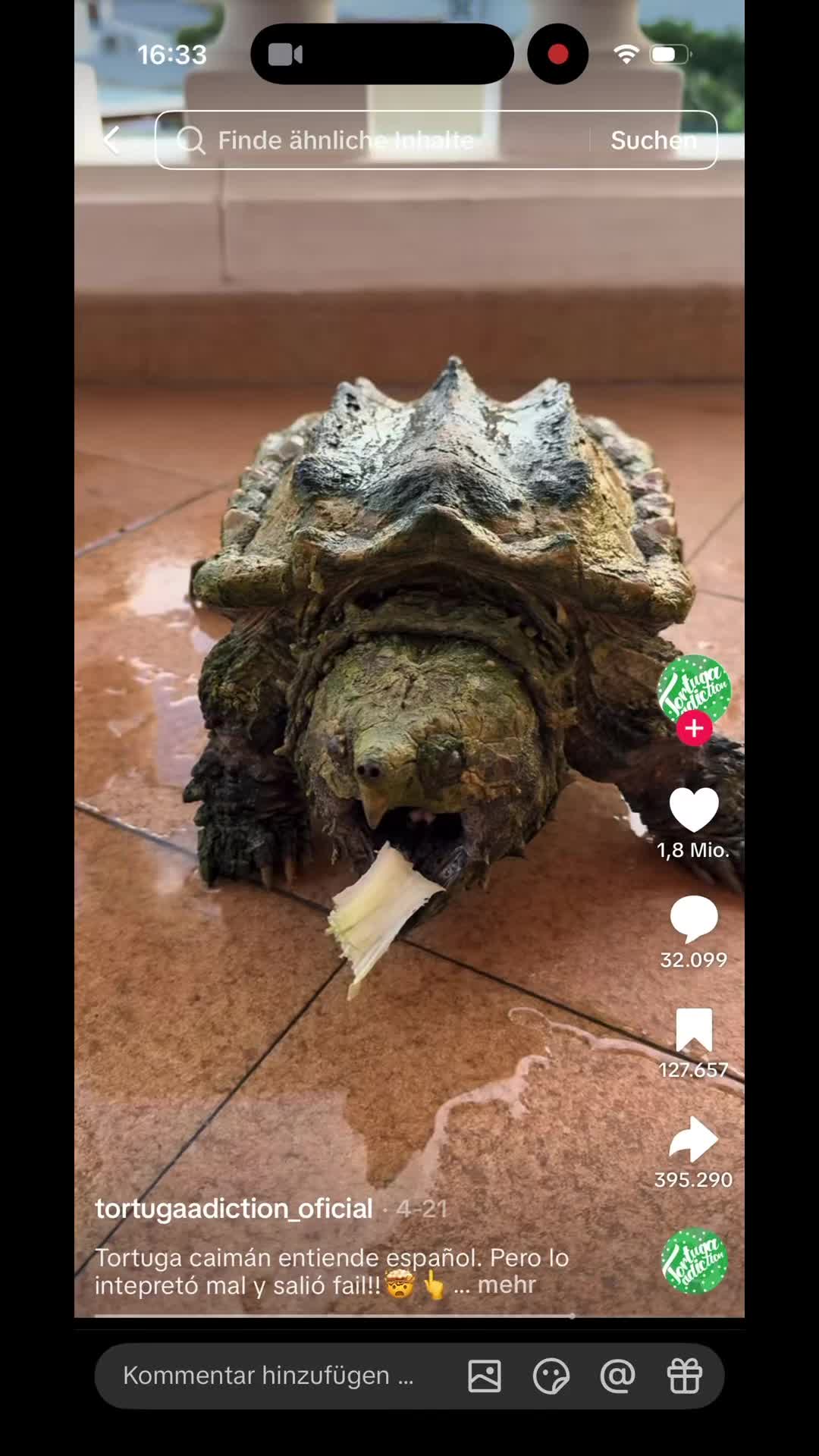 @raphyou10