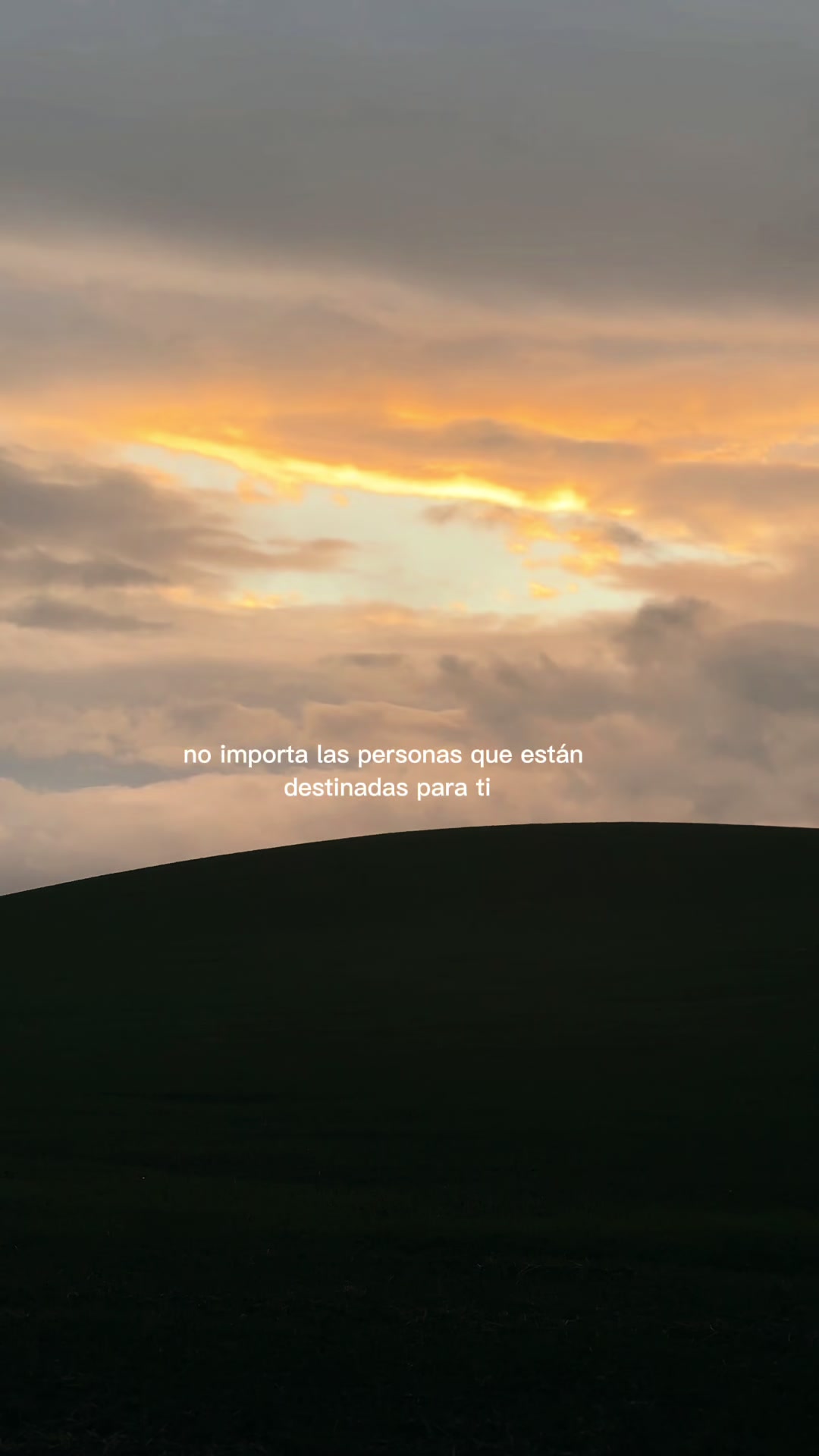 @Andysuu ✨