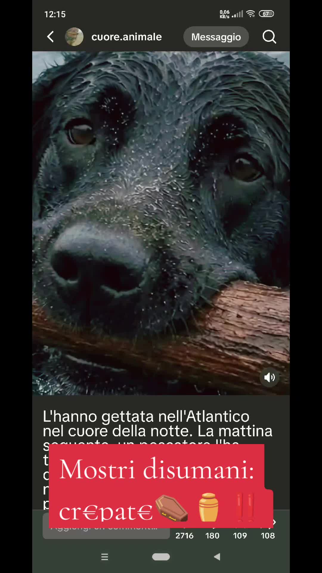 @VENNE DAL FREDDO 🥶