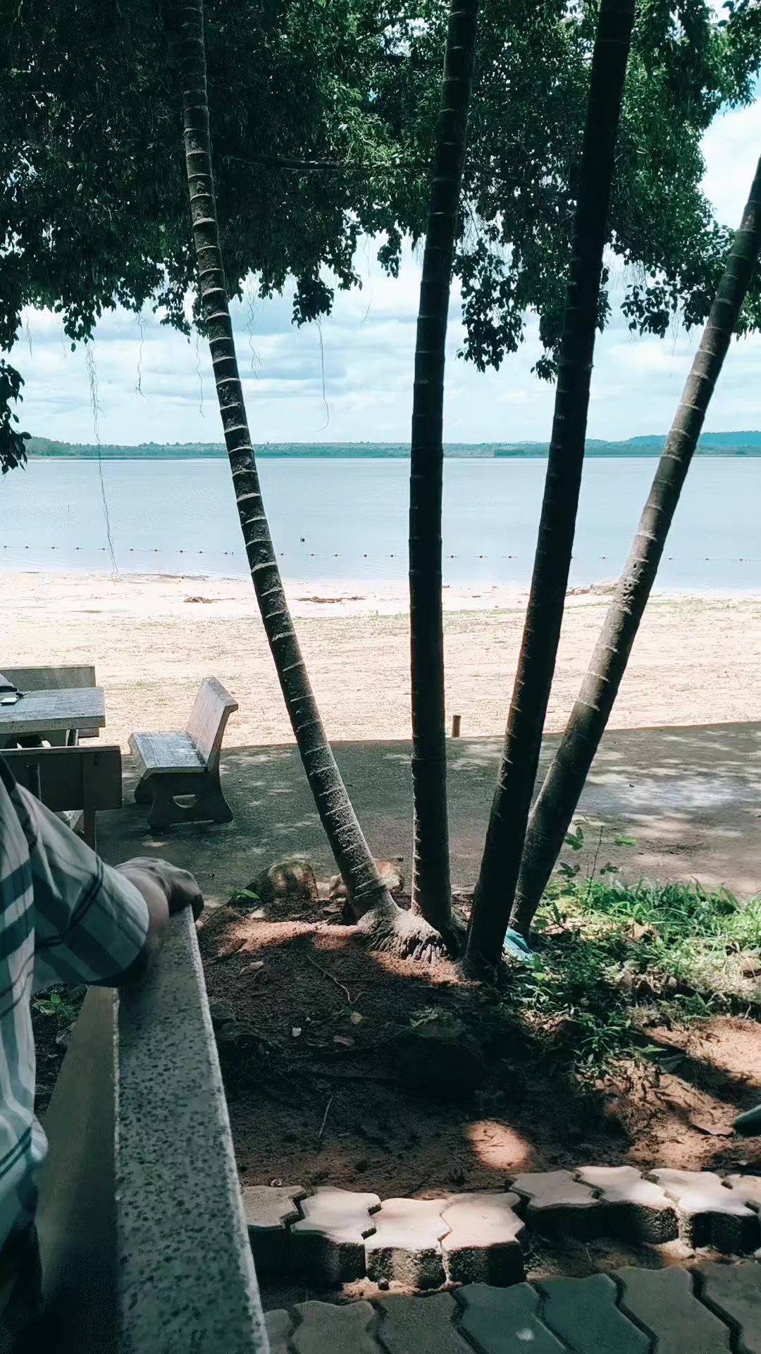 @สุจิตตรา ไชยสงค์