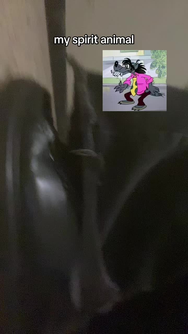 @доча