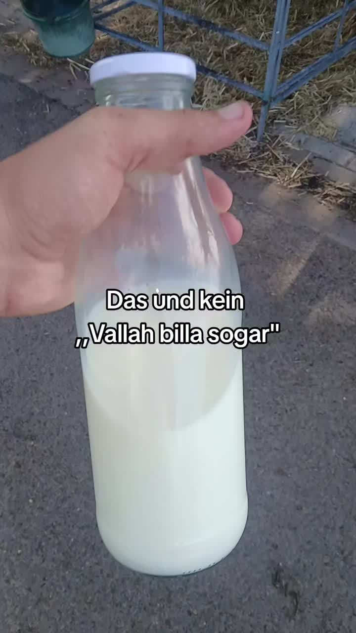 @random facts