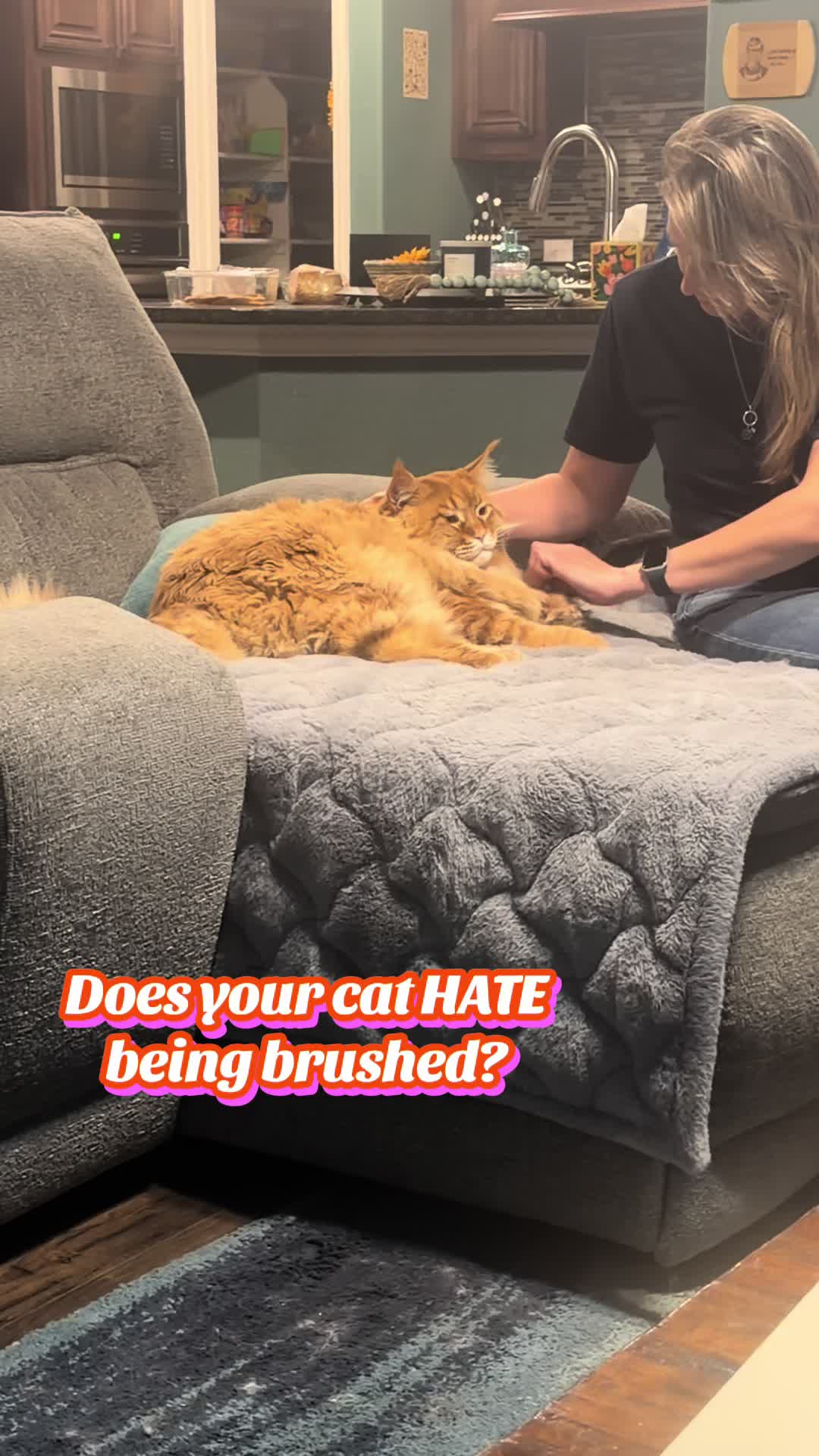 @Theodore Scritches McWiggles
