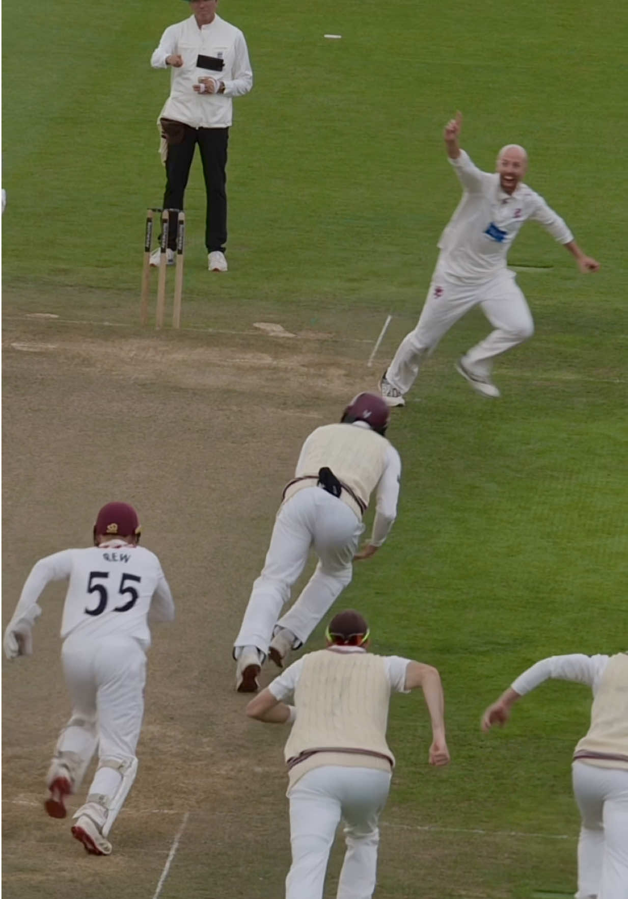 @Somerset Cricket