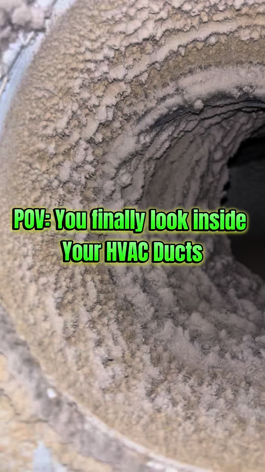 @Long Island Mold Guy