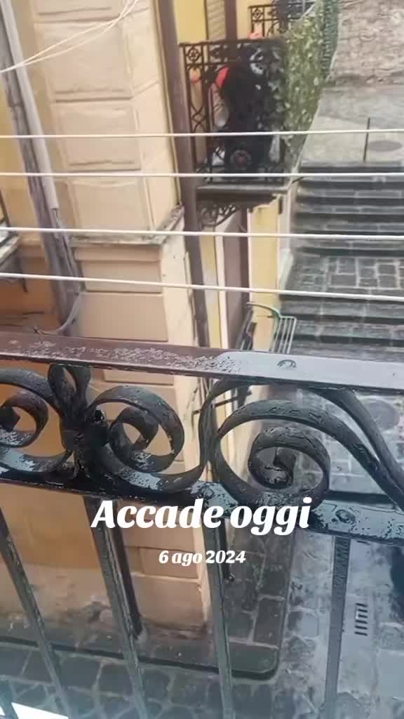 @michela 🤣❤️