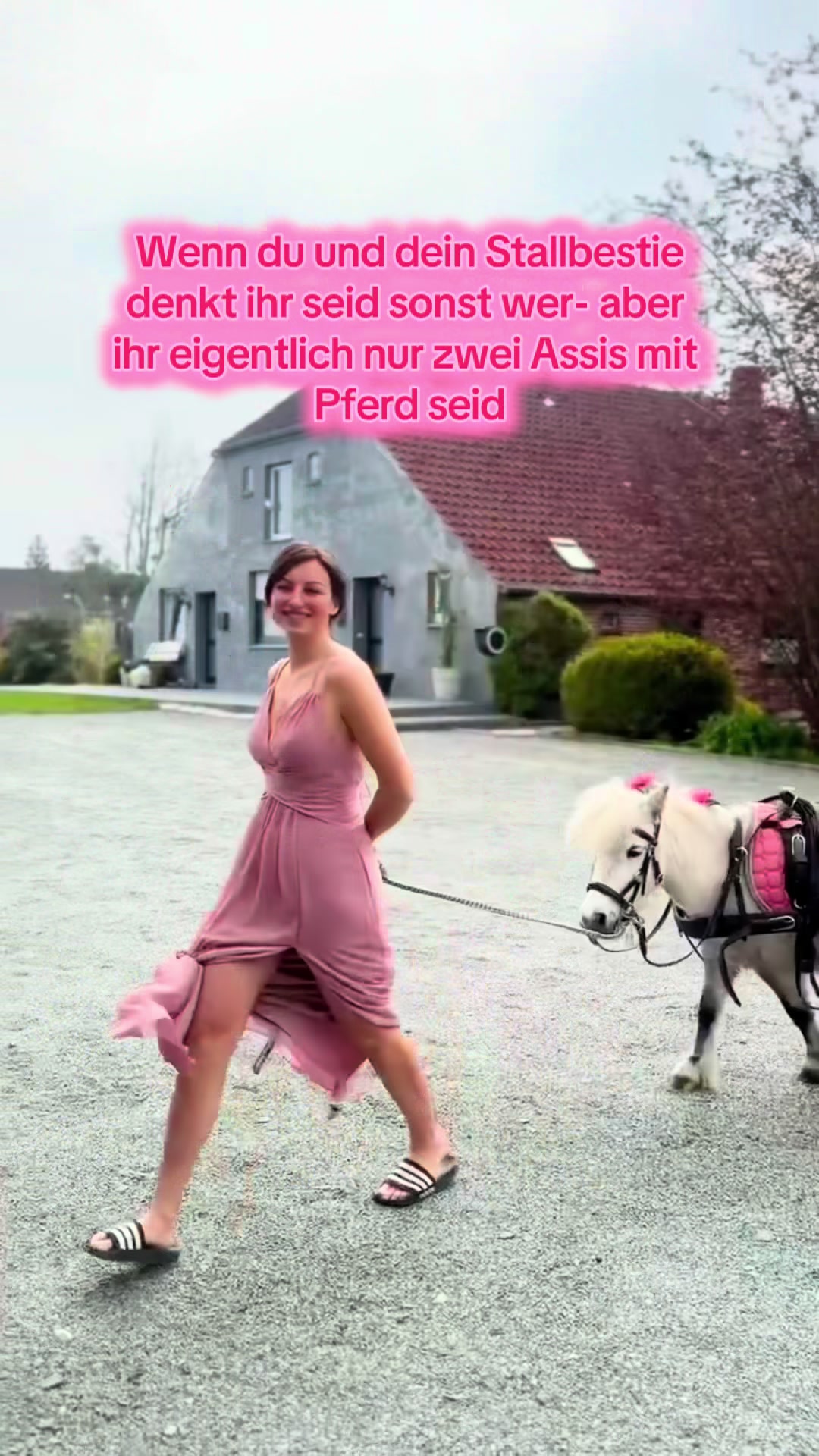 @Svenjaundclippy