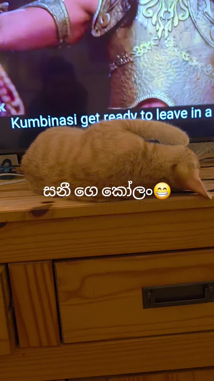 @Nilu Ranaweera 🇬🇧🇱🇰