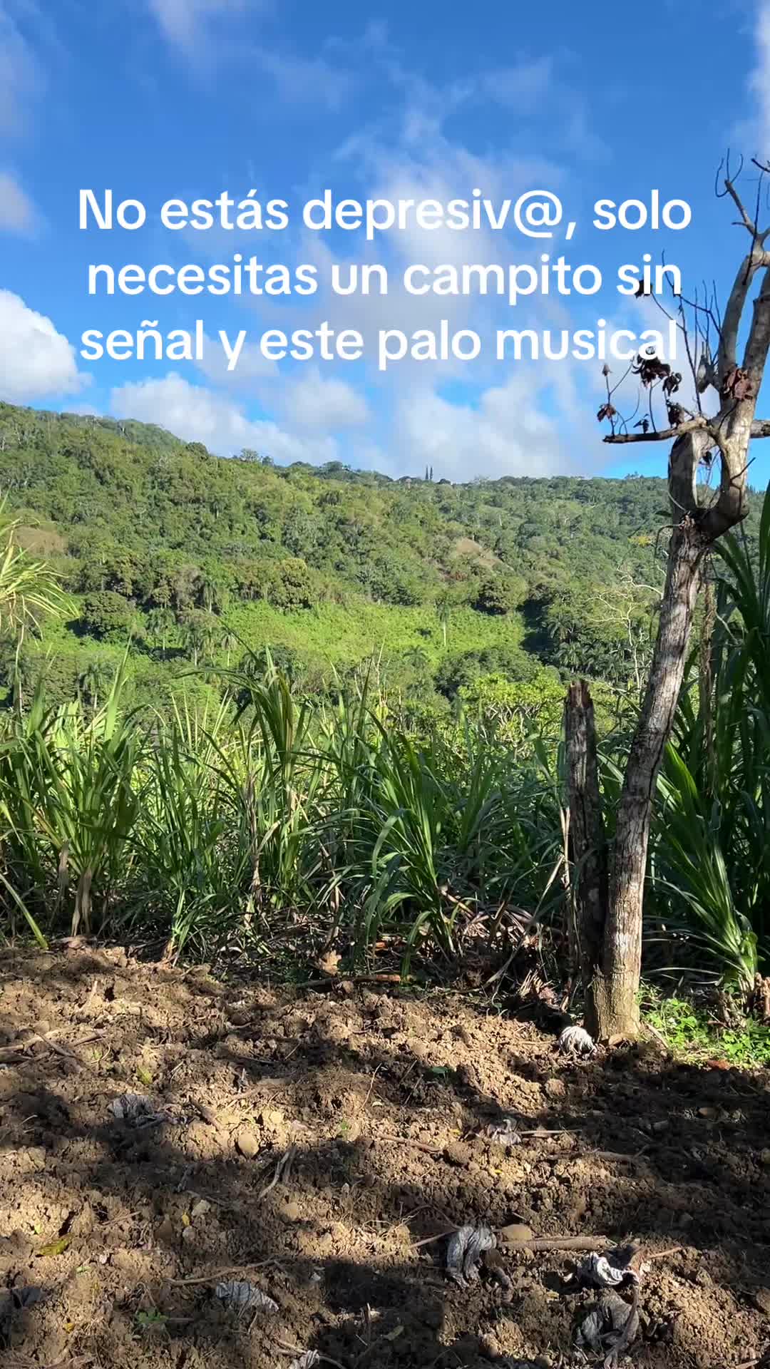 @estrellabrito26