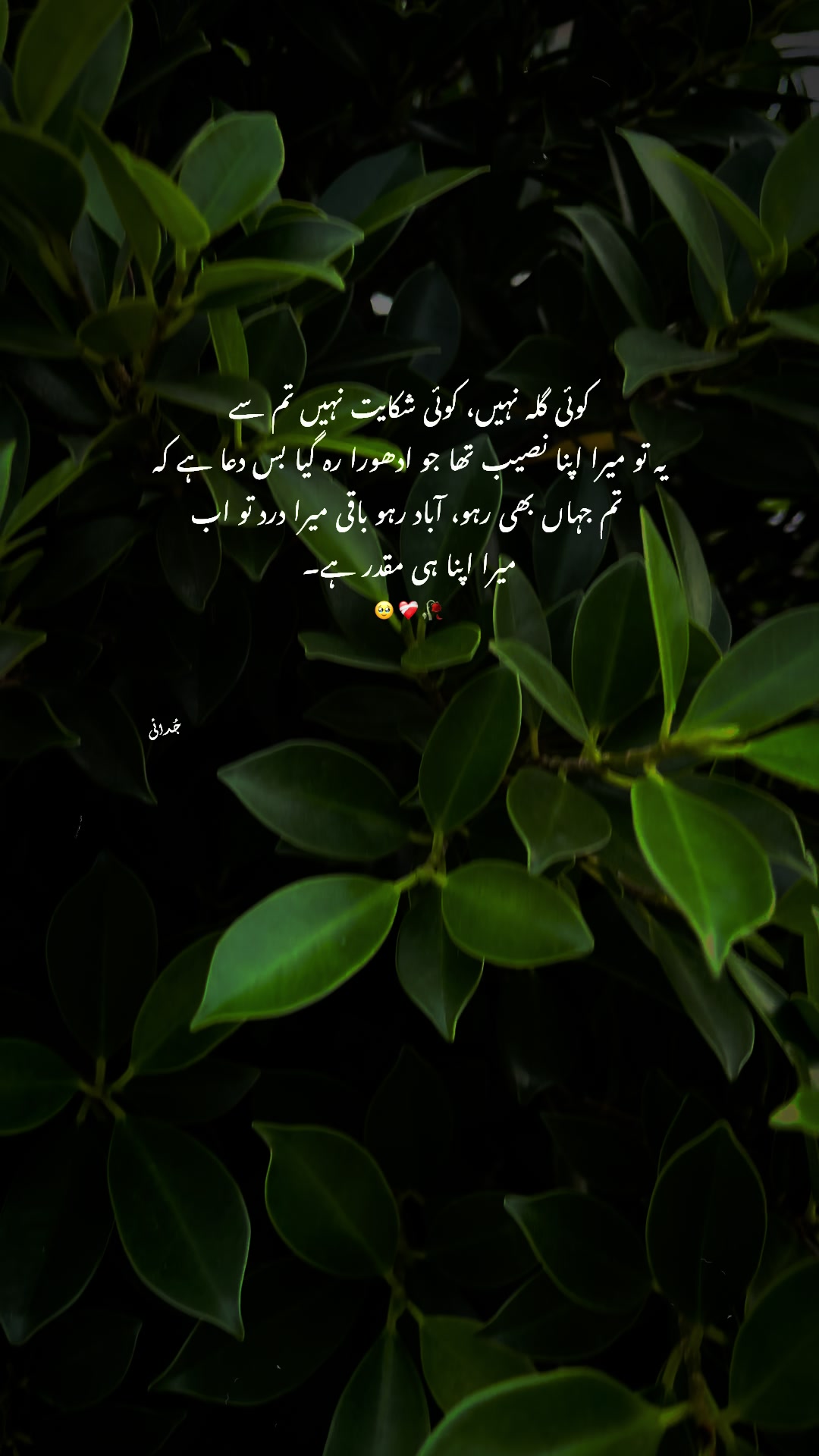 @𓆩 Aabi 𓆪
