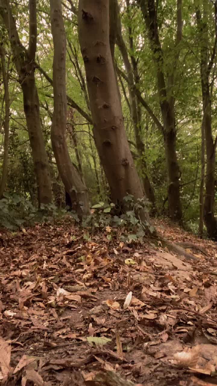 @ꪖꪑꪖꪹꪮƙ🐾