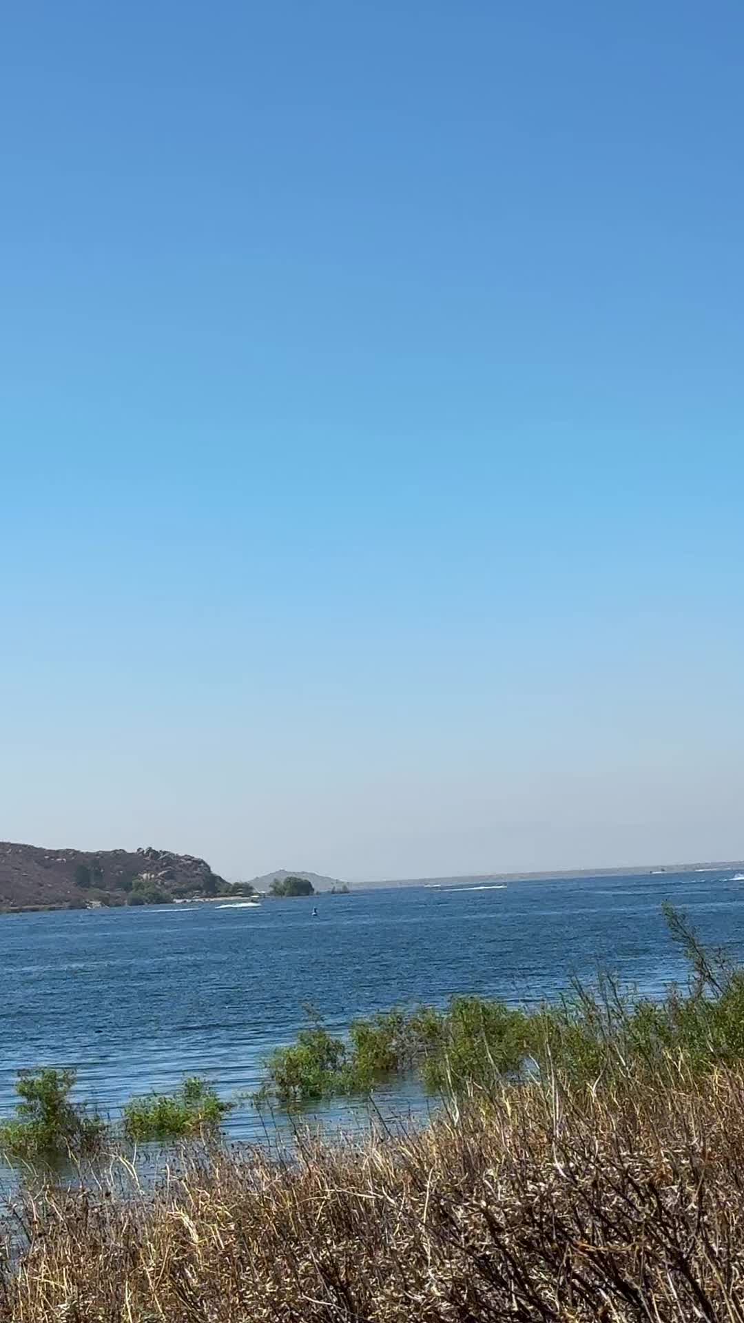 @Margarita R