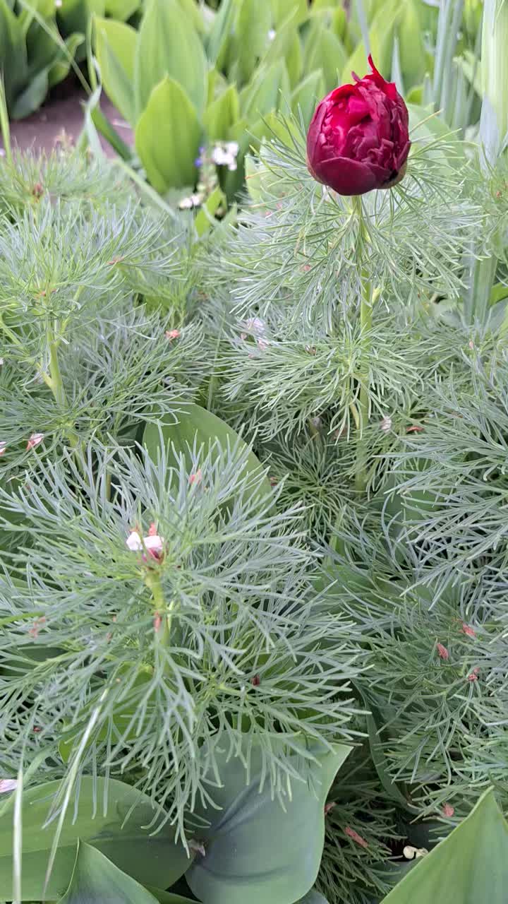 @Natur und Garten