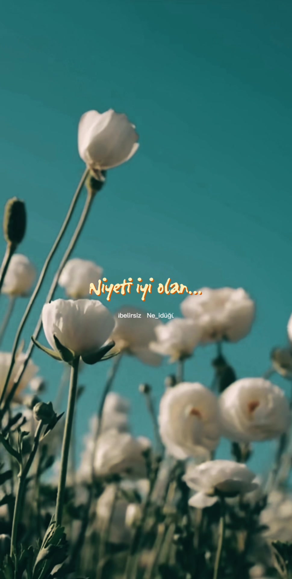 @ne_idugubelirsiz
