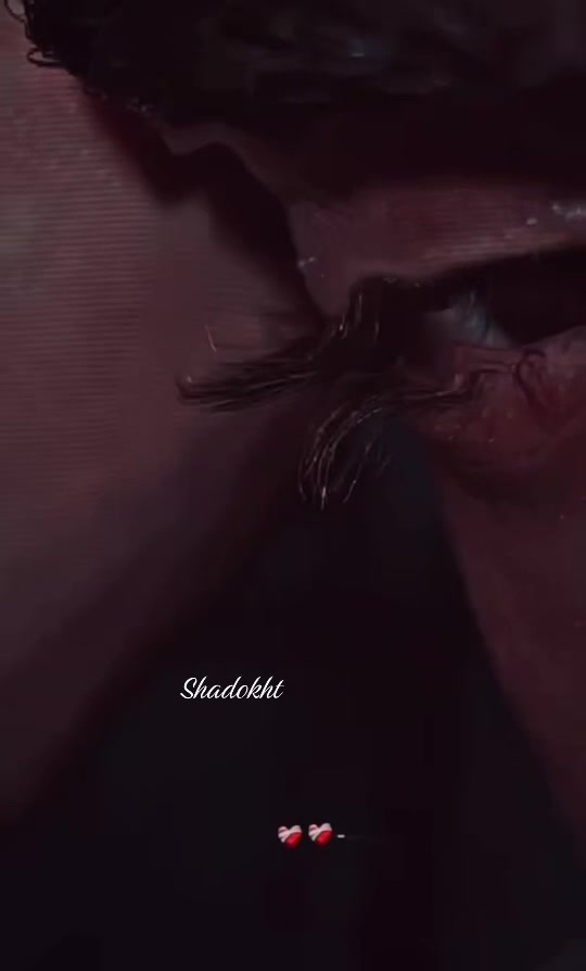 @Shadokht Tofany
