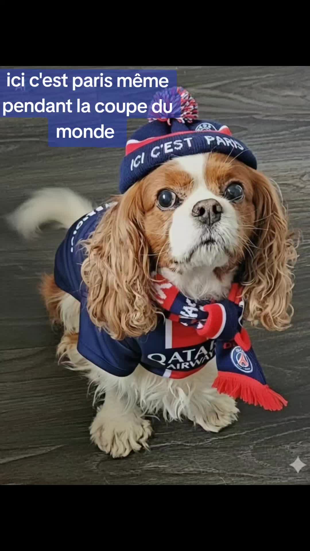 @L_ExpertDuParc