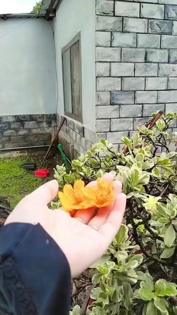 @انَـت الْحیـــاَت🫀🌍✨