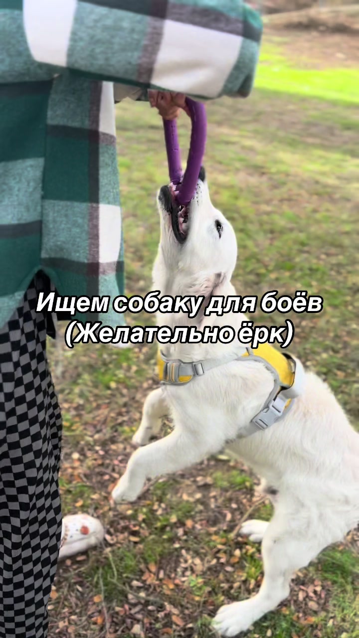 @𐔤ɯᥲᥴⲧыύ ⲙᥲρ᥈υ🥏