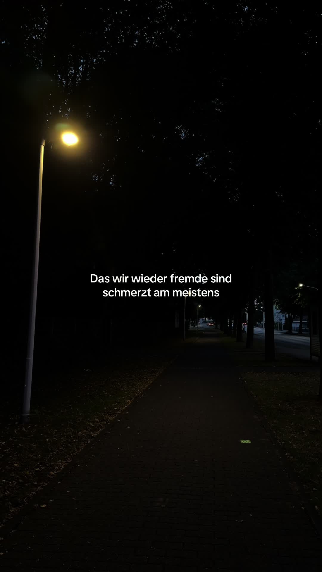 @jxx.268