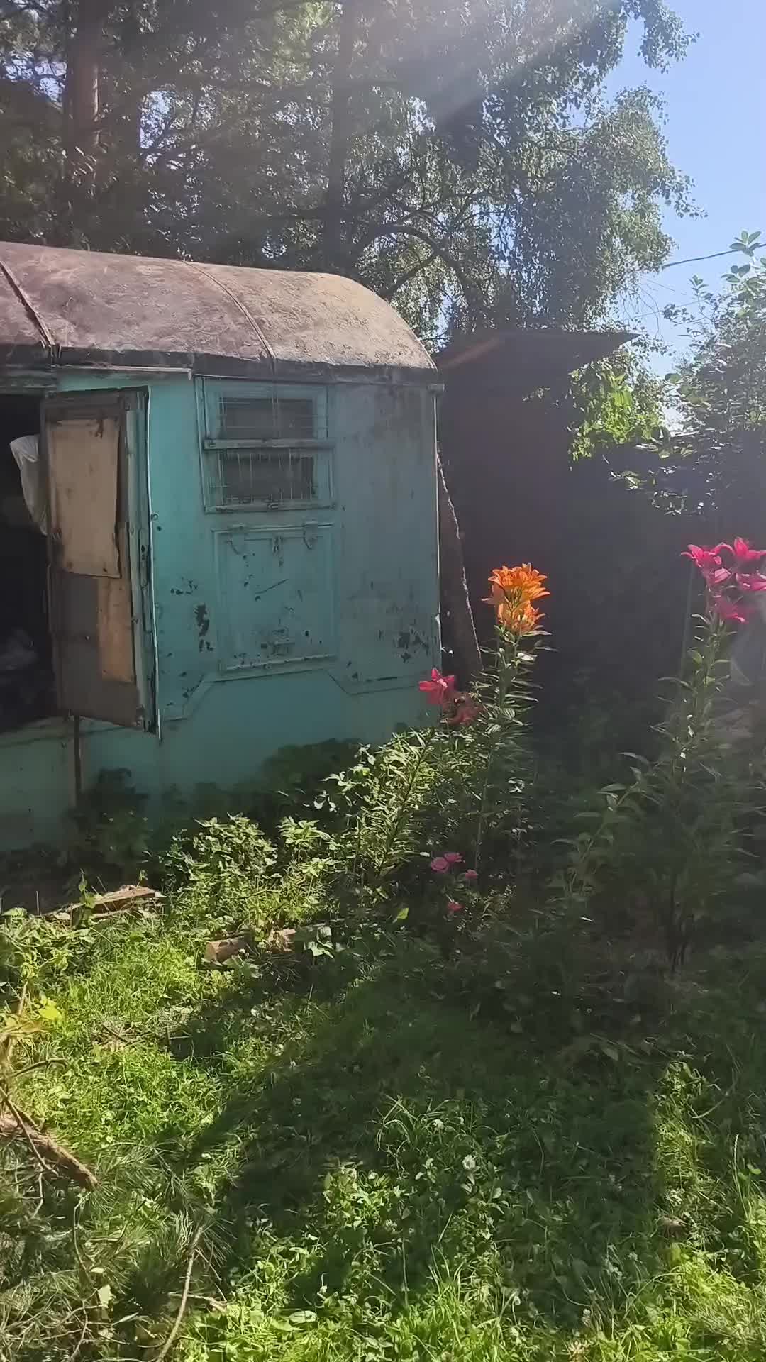 @vaisblumFM