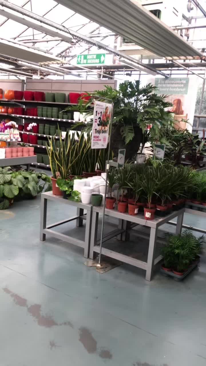 @lecoindesplantes