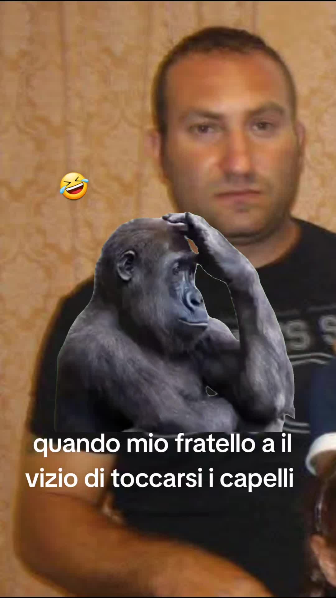 @antonella