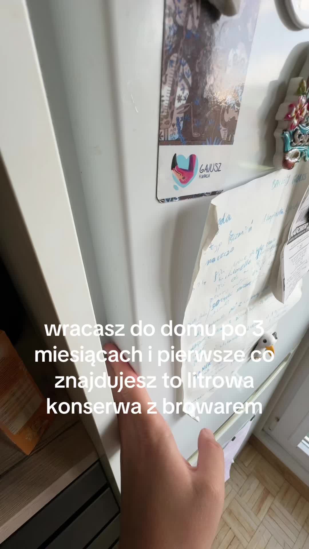 @gocha z urs